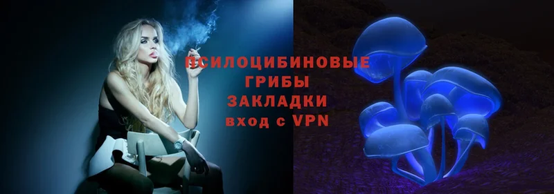 omg сайт  Нефтегорск  Псилоцибиновые грибы Magic Shrooms 